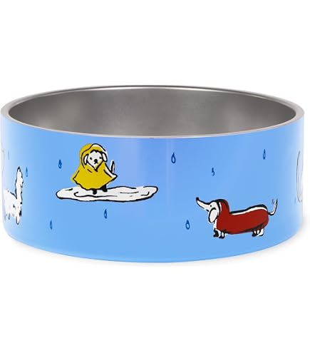 Amazon.com : kate spade new york Cat Bowl, Seafood Toss | Smooth